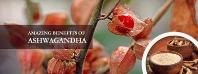 Everything You Want to Know About Ashwagandha - Uses, Benefits, Types, Side Effects