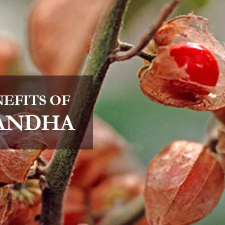 Everything-You-Want-to-Know-About-Ashwagandha-Uses-Benefits-Types-Side-Effects Ayur Kart