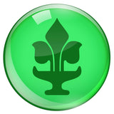 Kandamkulathy Vaidyasala - Ayurvedic Medicine 