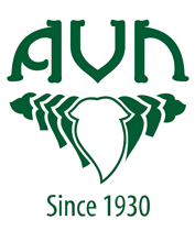 Buy AVN Ayurveda Medicines & Products